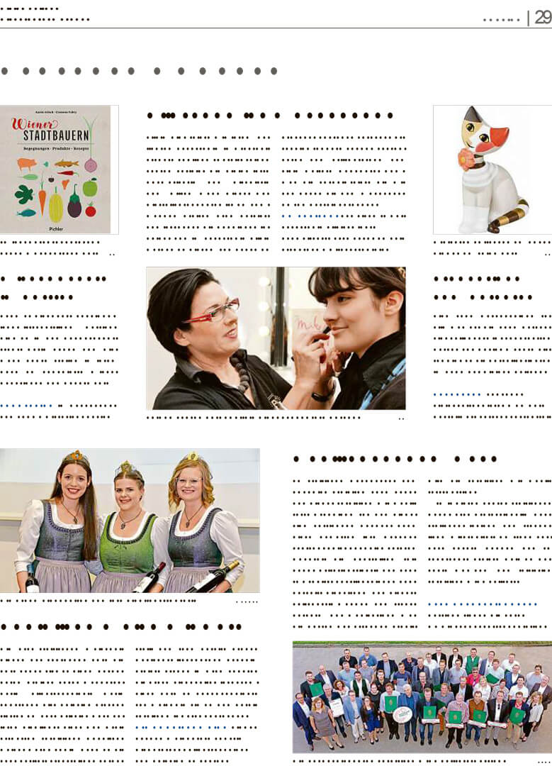 Kleine Zeitung - Dachdecker 01.05.2018